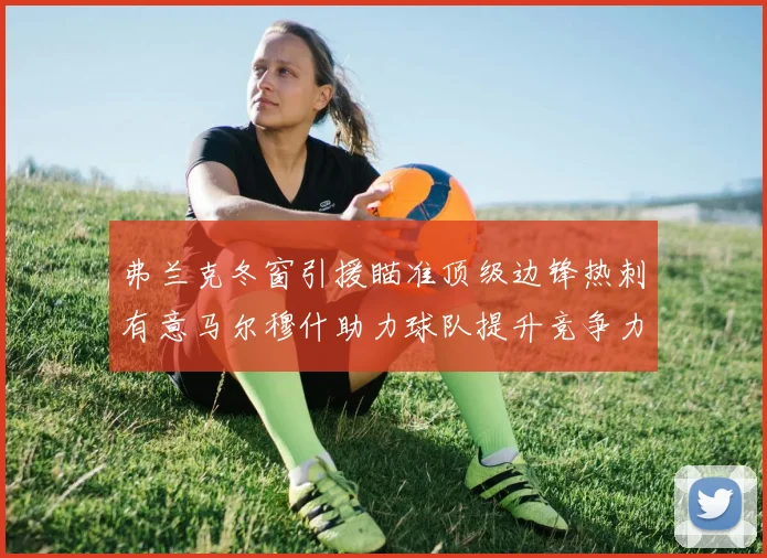 弗兰克冬窗引援瞄准顶级边锋热刺有意马尔穆什助力球队提升竞争力
