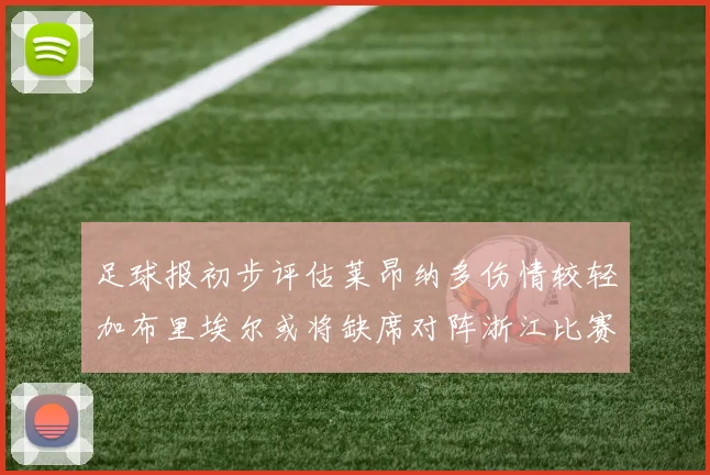 足球报初步评估莱昂纳多伤情较轻加布里埃尔或将缺席对阵浙江比赛