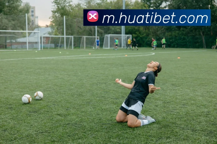 华体会体育APP 封面图